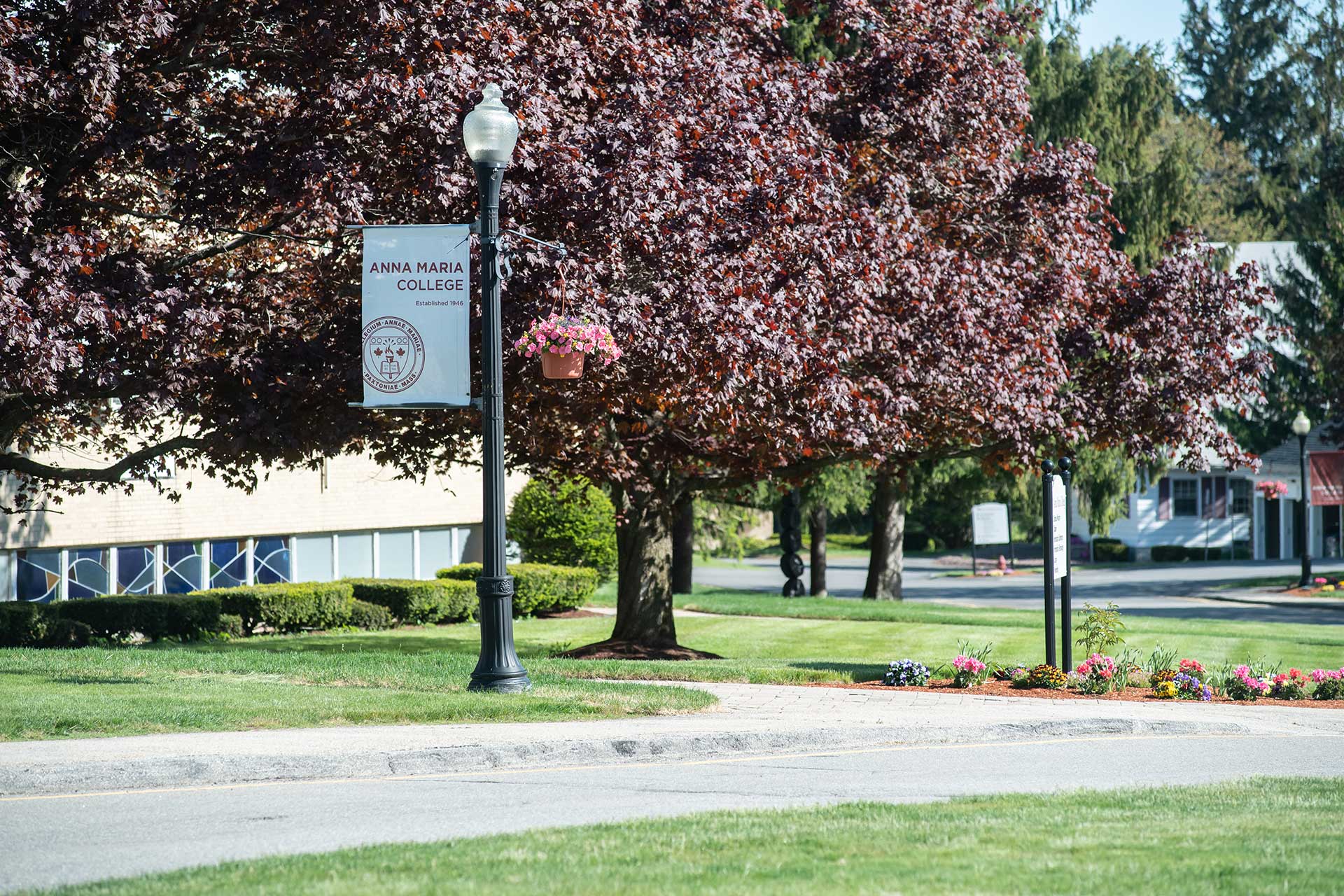 About Anna Maria College Regionally Accredited Online University